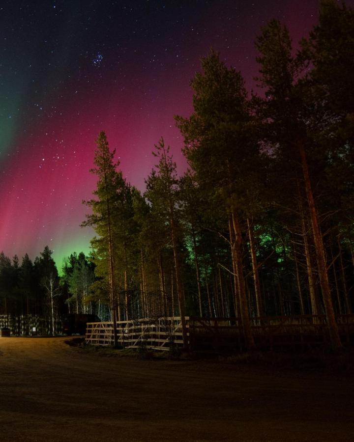 Arctic Snowhotel & Glass Igloos Sinettä Exterior foto
